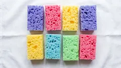 Warum man Spülschwämme in den Gefrierschrank und in einen Blumentopf legen sollte: 10 Gründe, sich einen größeren Vorrat an Spülschwämmen anzulegen