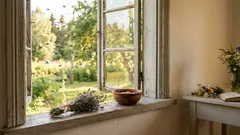 Mücken und Gnitzen werden Sie nicht mehr stechen oder in Ihr Haus fliegen. Ein einfacher Trick, den jeder kennen sollte