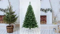Wie man einen Weihnachtsbaum auswählt: lebend, künstlich oder gar keinen – Argumente dafür und dagegen