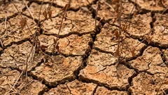 Wenn die Erde „genug“ sagt: Anzeichen dafür, dass es Zeit ist, das Beet in Ruhe zu lassen