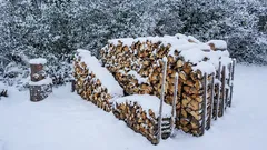 Wie trocknet man Holz im Winter? Die kanadische Methode des Trocknens an der Sonne. Einfach, effektiv und ideal für Weichholz.