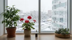 Düngen von Zimmerpflanzen im Dezember: Die Feinheiten der Winterdüngung